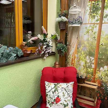 Gartenblick