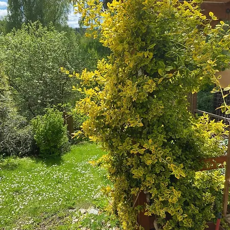 Gartenblick Апартаменты Бад-Эльстер