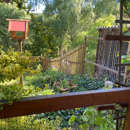 Gartenblick